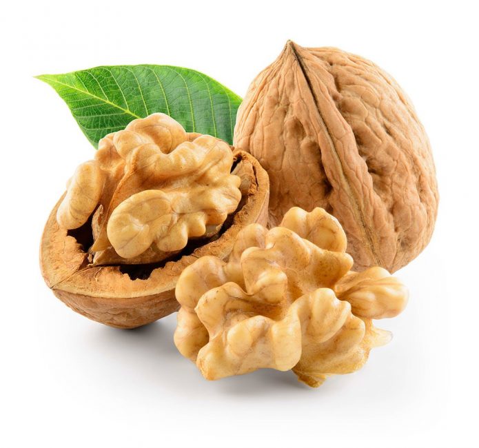 Hạt óc cho hữu cơ