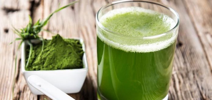 Bột cỏ lúa mì