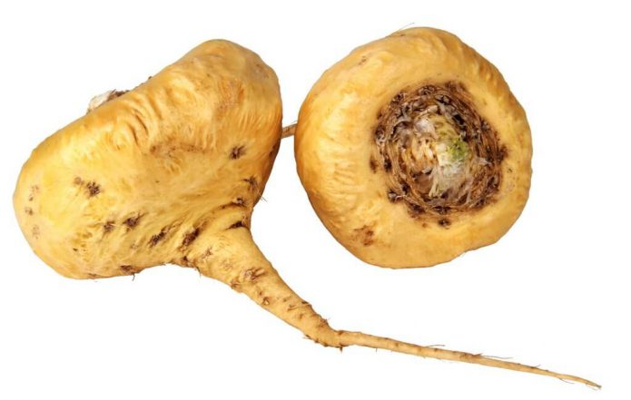 Sâm-Maca-peru-sotto