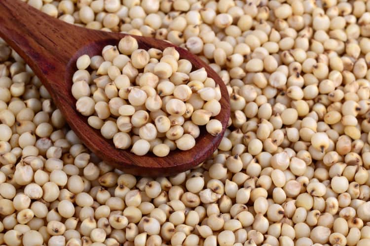 hat-cao-luong-sottolestelle