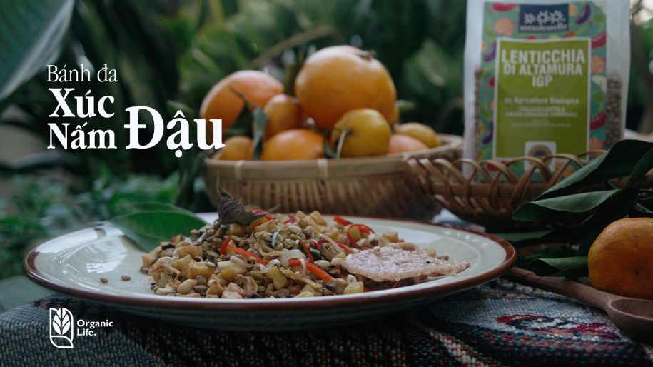 Làm món Nấm đậu xúc bánh đa và Pate đậu từ đậu lăng xanh