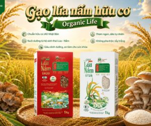 Organic Life Chính Thức Ra Mắt Bộ Đôi Gạo Lúa Nấm Hữu Cơ ST25 & SR20