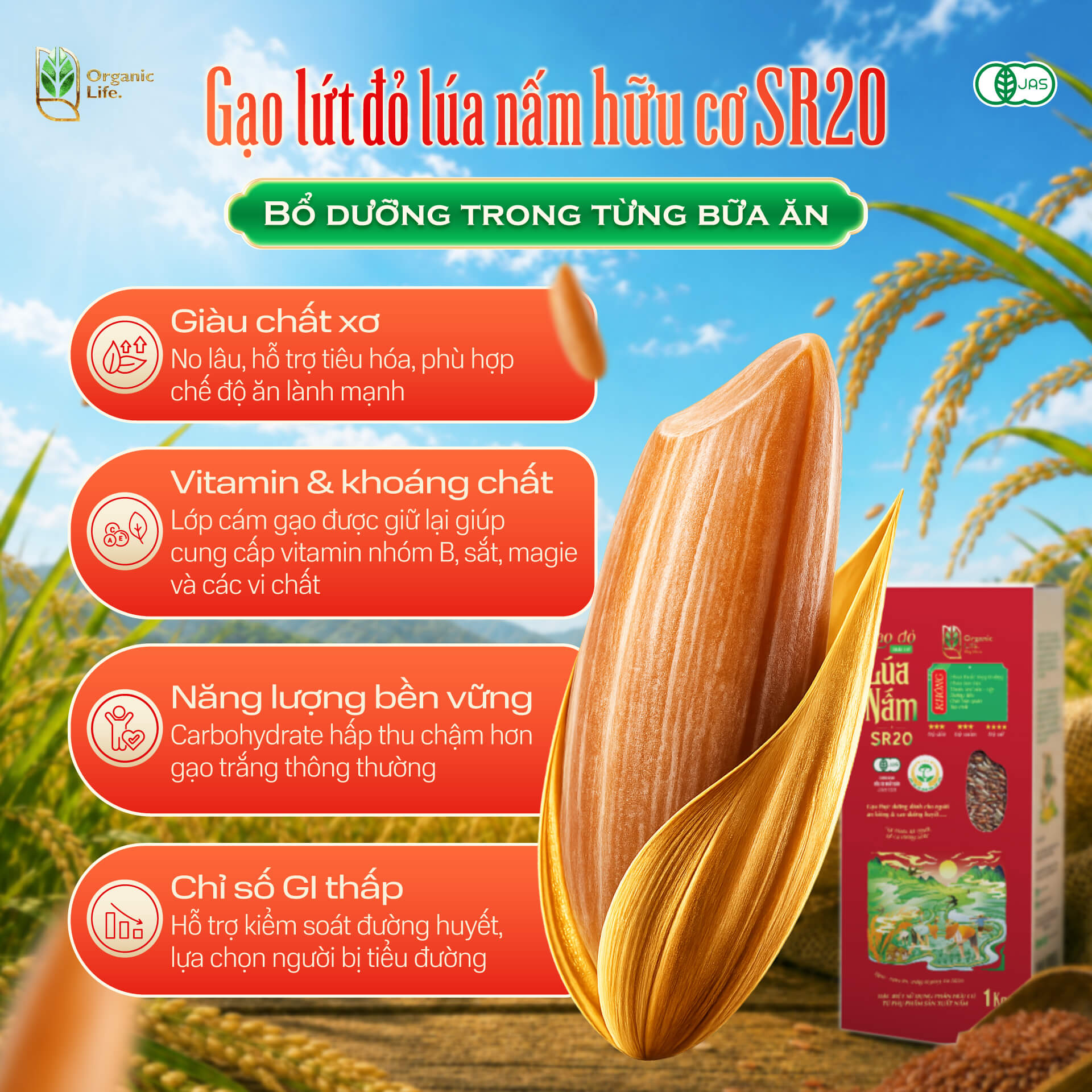 Lợi ích Gạo Lứt Đỏ Lúa Nấm Hữu Cơ SR20