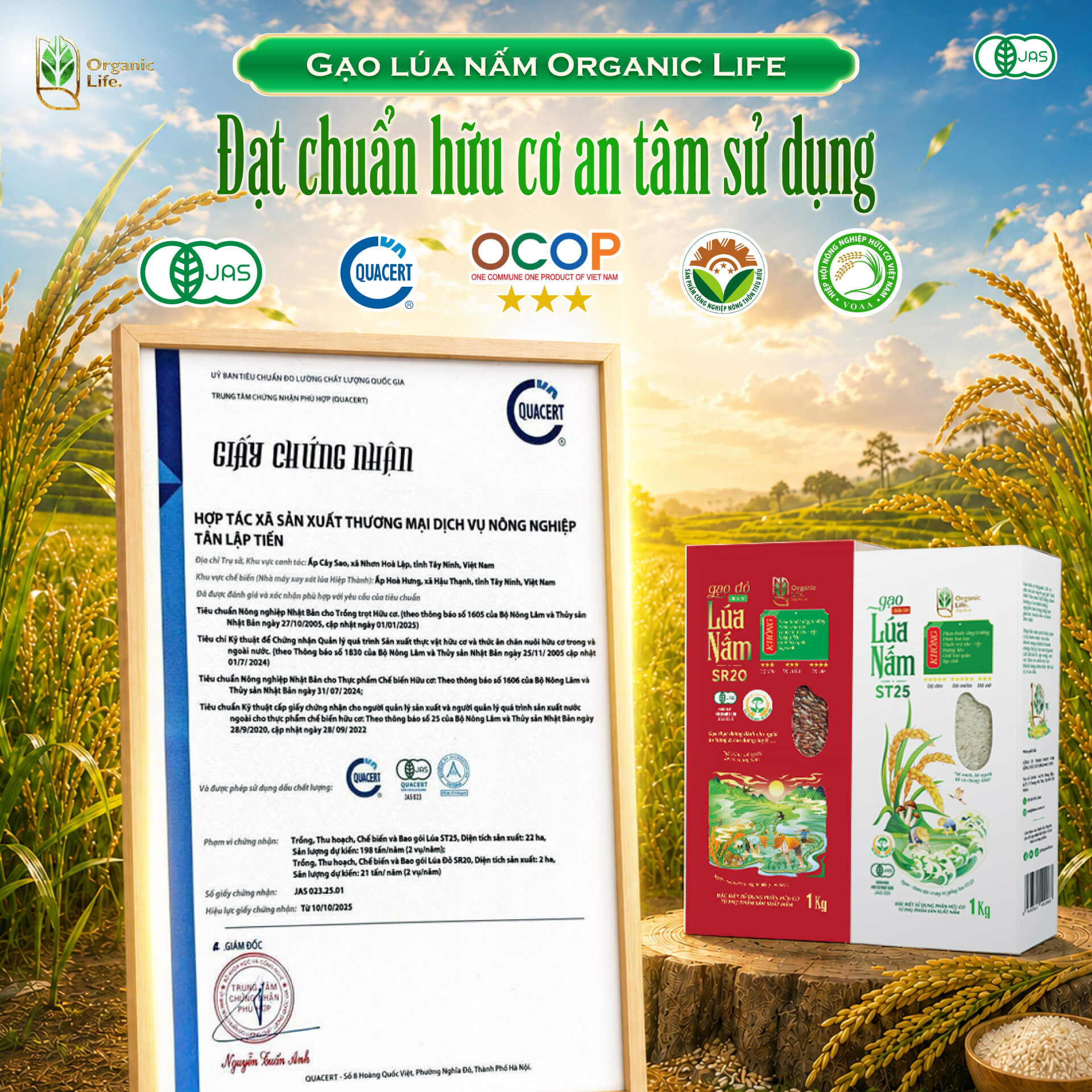 Gạo Lúa Nấm Hữu Cơ Organic Life Đạt Chứng Nhận Hữu Cơ JAS Nhật Bản